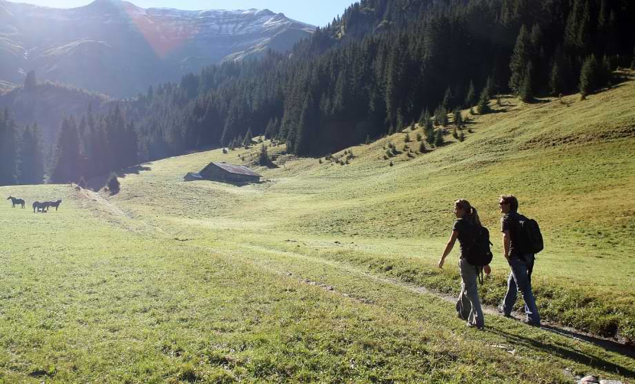 Alpine walks