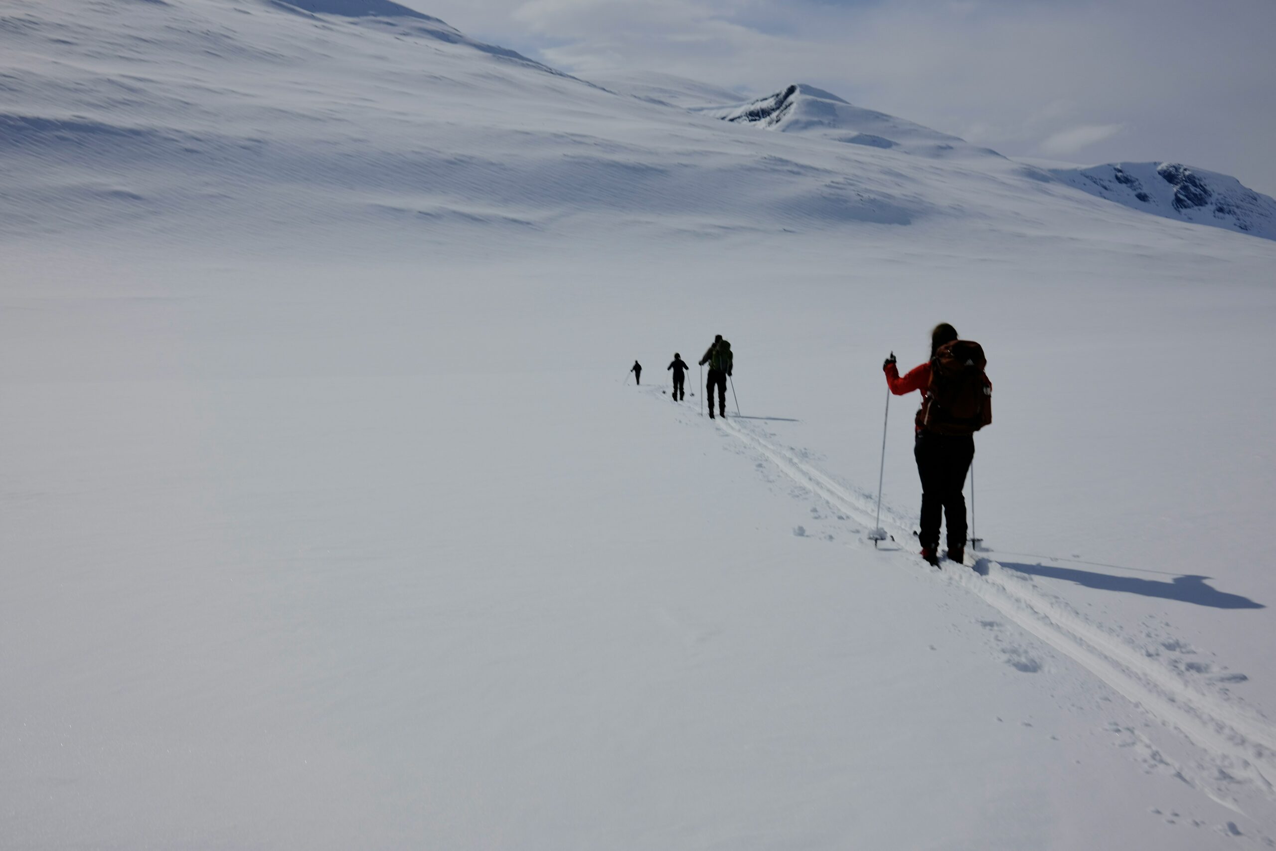 Activités hivernales