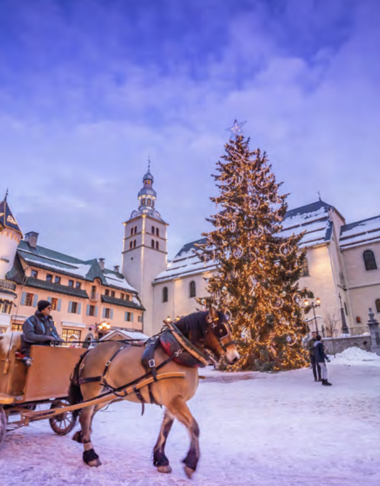 Horse Carriage
