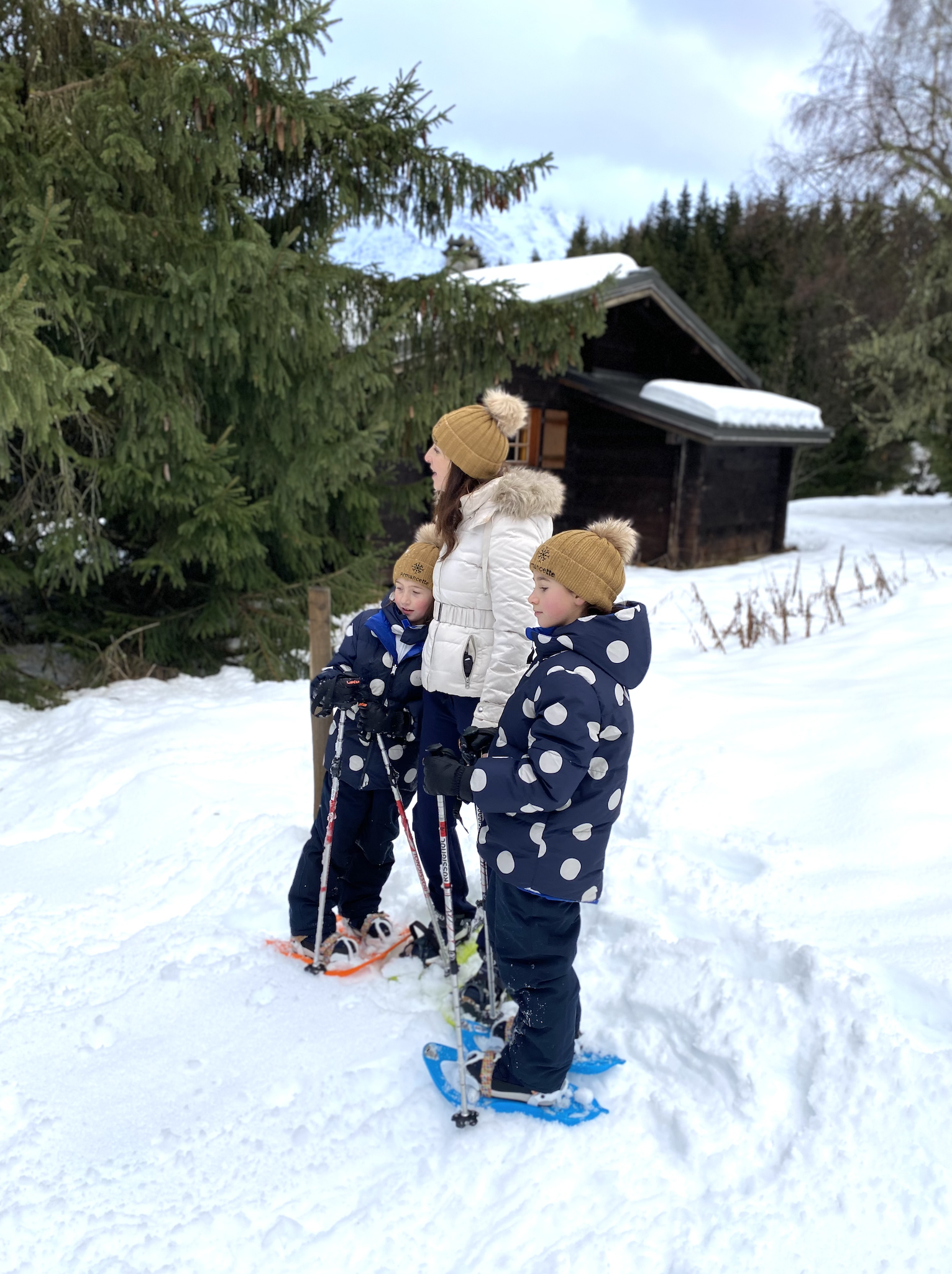 Snowhiking
