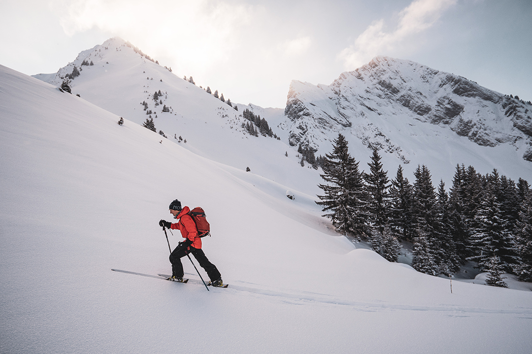 Touring ski