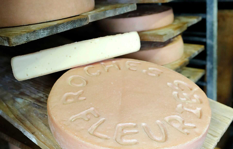 Visite de fermes