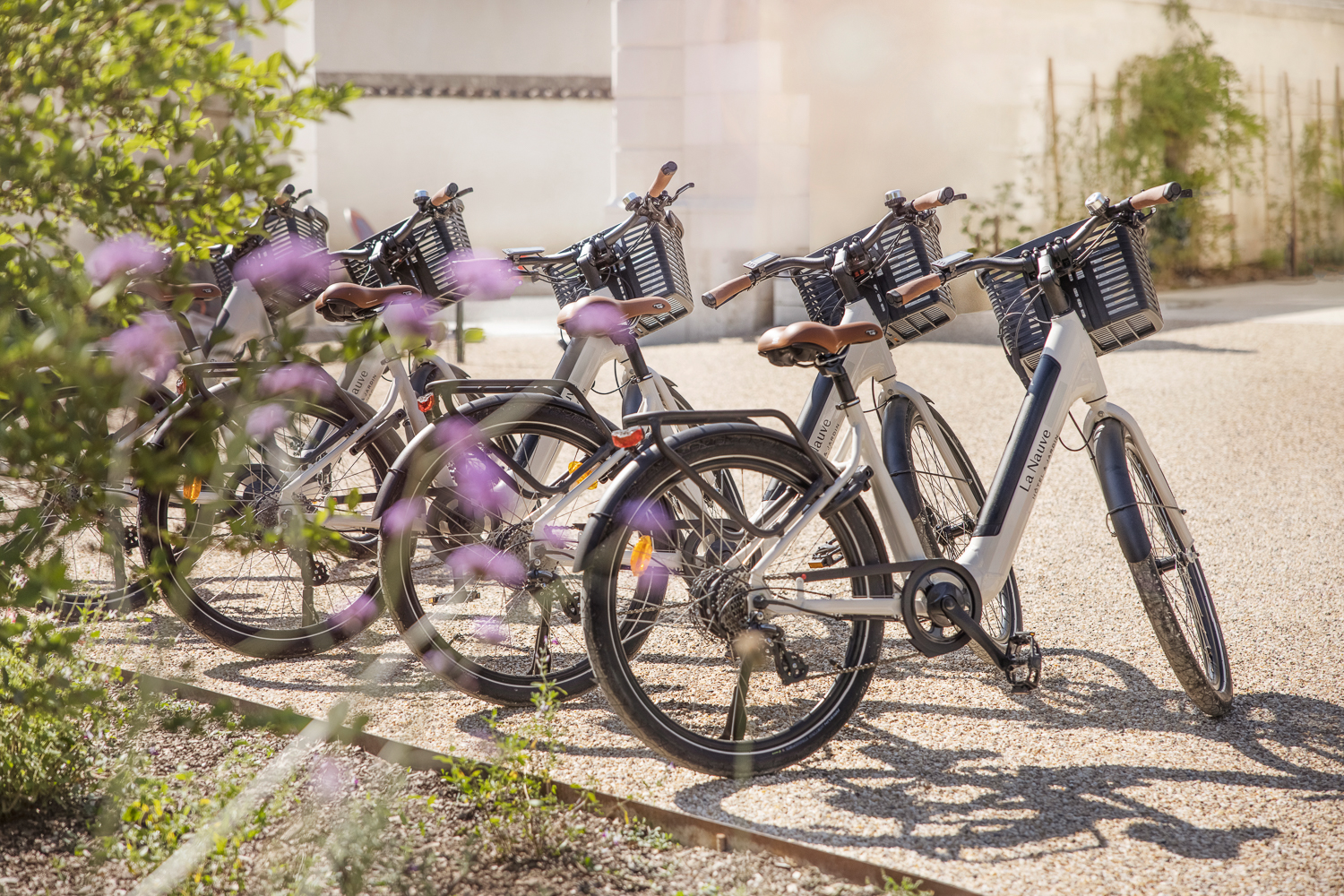 Cognac by bike